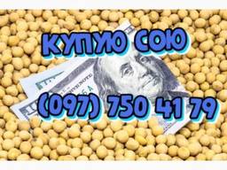 Купую сою. Переробник