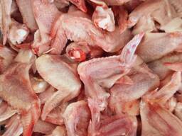 Куплю несушку у великому обсязі