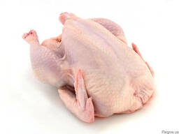 Оптовая и розничная продажа тушки курицы