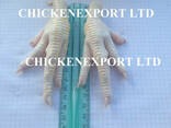 ООО Чикенекспорт продает на экспорт куриные лапы