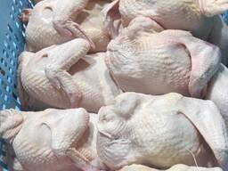 Курка-бройлер оптом | Великі обсяги, стабільні поставки