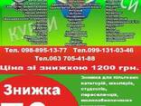 Курси манікюра, бухгалтера, кухаря. електрика, зварника, маляра, сушиста - фото 1
