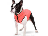 Курточка для собак AiryVest Двусторонняя М 47 Кораллово-серая - фото 3