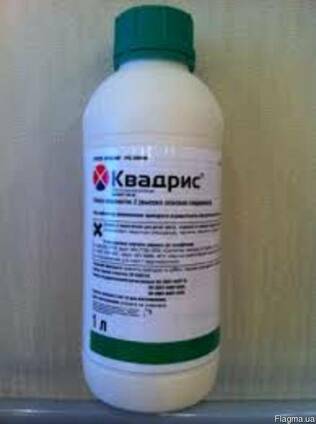 Квадрис