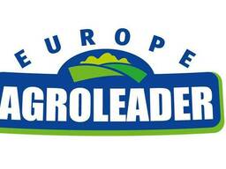 Квасолю, Нут та Сочевицю