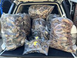 Лакомства для собак