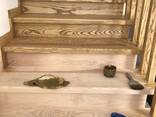 Лакування, фарбування, дерева, МДФ, шпон фанера. - фото 11
