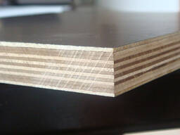 Laminated birch plywood