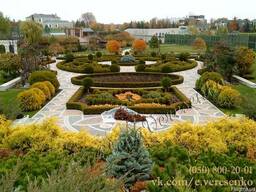 Ландшафтный архитектор, благоустройство территории Киев