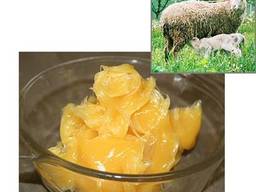 Ланолін (Бельгія)