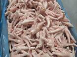 Лапа куриная - фото 3