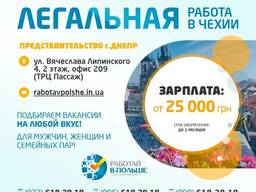 Легальное трудоустройство в Чехии