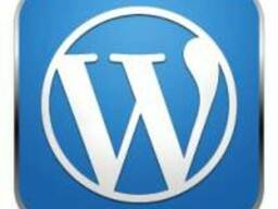 Разработка сайта