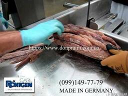 Стрічкова пилка для різання замороженої риби