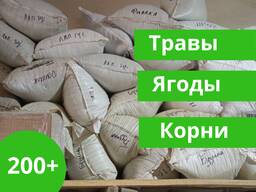 Лікарські трави, ягоди, коріння — 200 позицій! Від 100 грам.