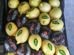 Лимон Киев Доставка Rifat Турция