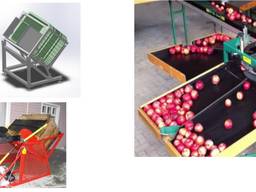 Линия для сортировки яблок