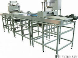 Линия формования пласта суфле и конфет ЛФС