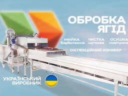 Линия обработки ягод