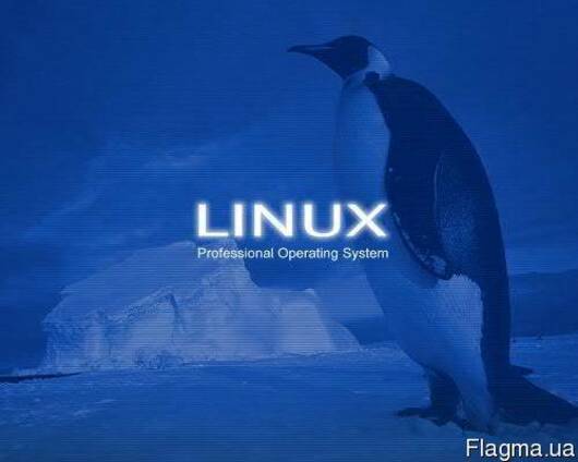 Linux для бизнеса, Линукс для дома