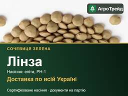 Лінза — сочевиця зелена, насіння еліта, РН-1 з документами