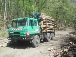 Лісовоз Tatra 815