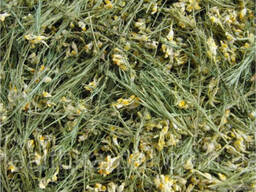 Льнянка обыкновенная трава 500 грамм