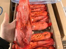 Лобстер вареный (Канада). Лобстер. Морепродукты.