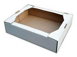 Лоток кондитерский