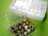 Лоток на куриные перепелиные яйца 10 20 упаковка для яиц