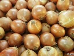 Лук