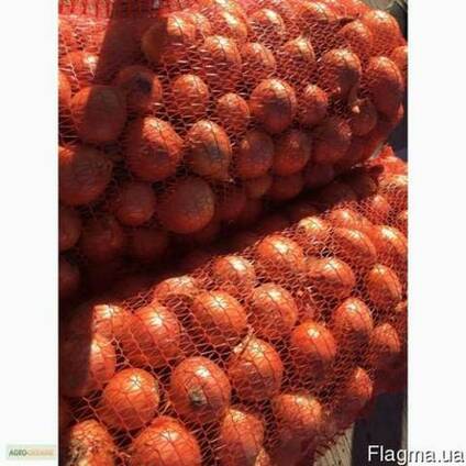 Лук репчатый продам.