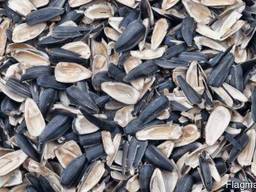 Лушпиння соняшникове не гранульоване