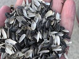 Лузга подсолнуха c доставкой