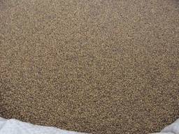 Люцерна Надежда