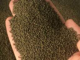 Люцерна магниченная \ не магниченная