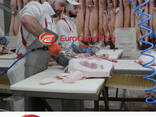 М' ясо оптом від виробника. Напівтуші свинні, Елементи та субпродукти, Доставка по Україні - фото 1