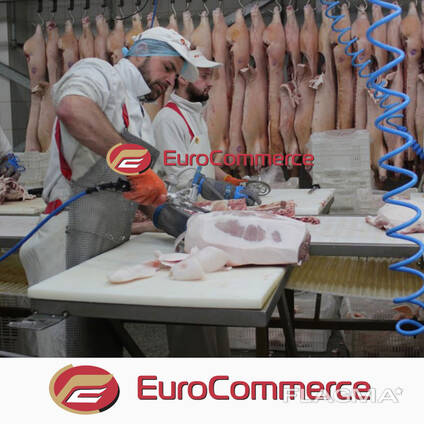 М' ясо оптом від виробника. Напівтуші свинні, Елементи та субпродукти, Доставка по Україні