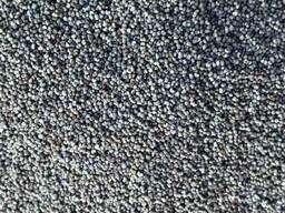 Мак блакитний (1 сорт) - Виробництво Угорщина