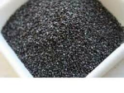 Новий урожай Мак голубой Чехия