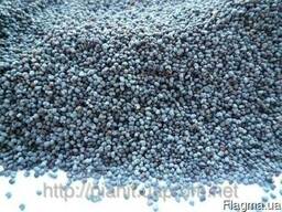 Новий урожай Мак кондитерский