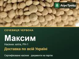 Максим — сочевиця червона, насіння еліта, РН-1 з документами