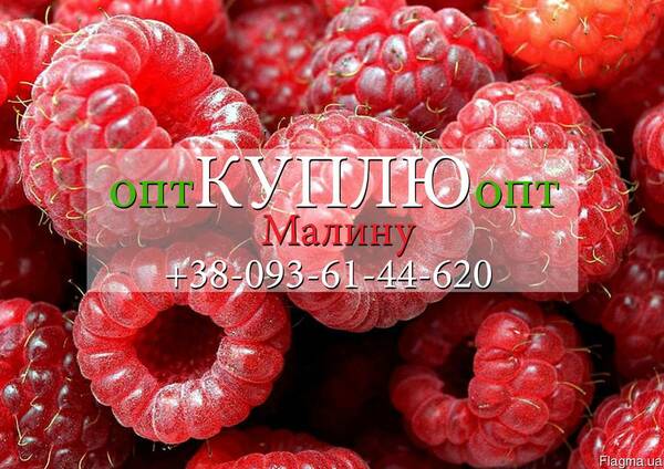 Малина