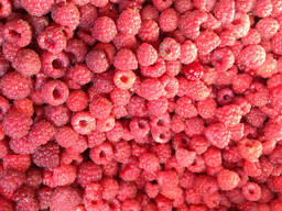 Малина ціла