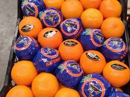 Мандарин Dobeshi