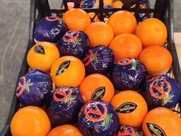 Мандарин Satsuma