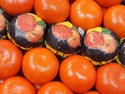 Мандарин Satsuma "Сатсума" , Турция