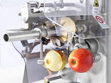Машина для чистки, нарезания, удаления сердцевины яблок 70-100 кг/час - фото 1