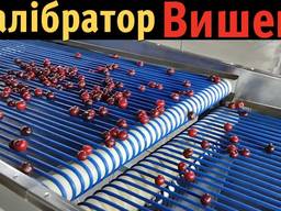 Машина для сортування ягоди: черешні, лохини, полуниці