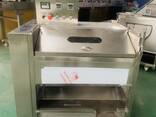 Машина для миття та очищення коренеплодів STvega H800 - фото 2